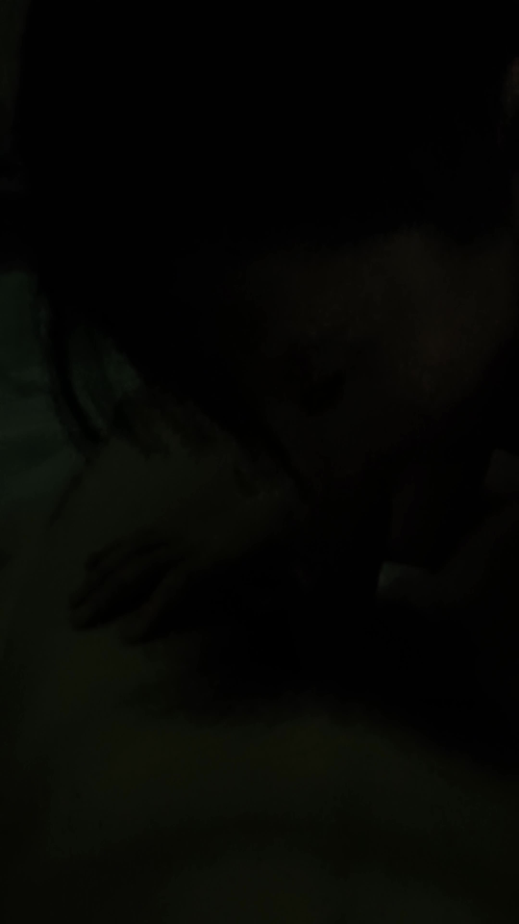 01年母狗口交不要太爽